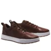 Maple Grove Trainer “Brown”
