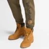 Men’s Kennebec River Brushed Back Sweatpant