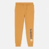 Men’s Linear Logo Sweatpants – Wheat Boot Men’s Linear Logo Sweatpants – Wheat Boot