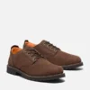 Men’s Redwood Falls Waterproof Shoe