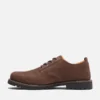 Men’s Redwood Falls Waterproof Shoe