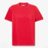 Men’s Washed Embroidered Logo T-Shirt