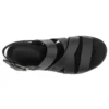 Safari Dawn “Black White”