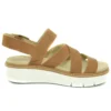 Safari Dawn “Brown White”