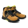 Solar Ridge Hi “Wheat”