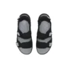 Whitehaven “Black Silver”
